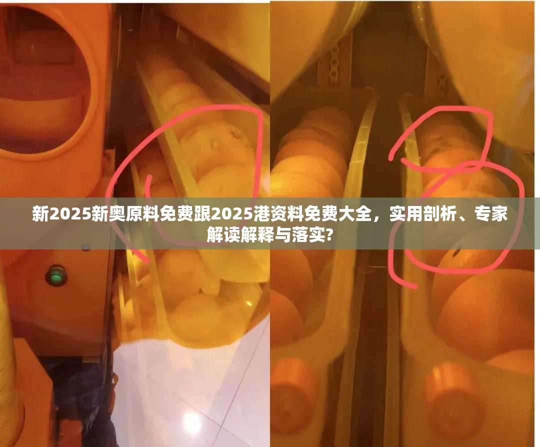 新2025新奥原料免费跟2025港资料免费大全，实用剖析、专家解读解释与落实?