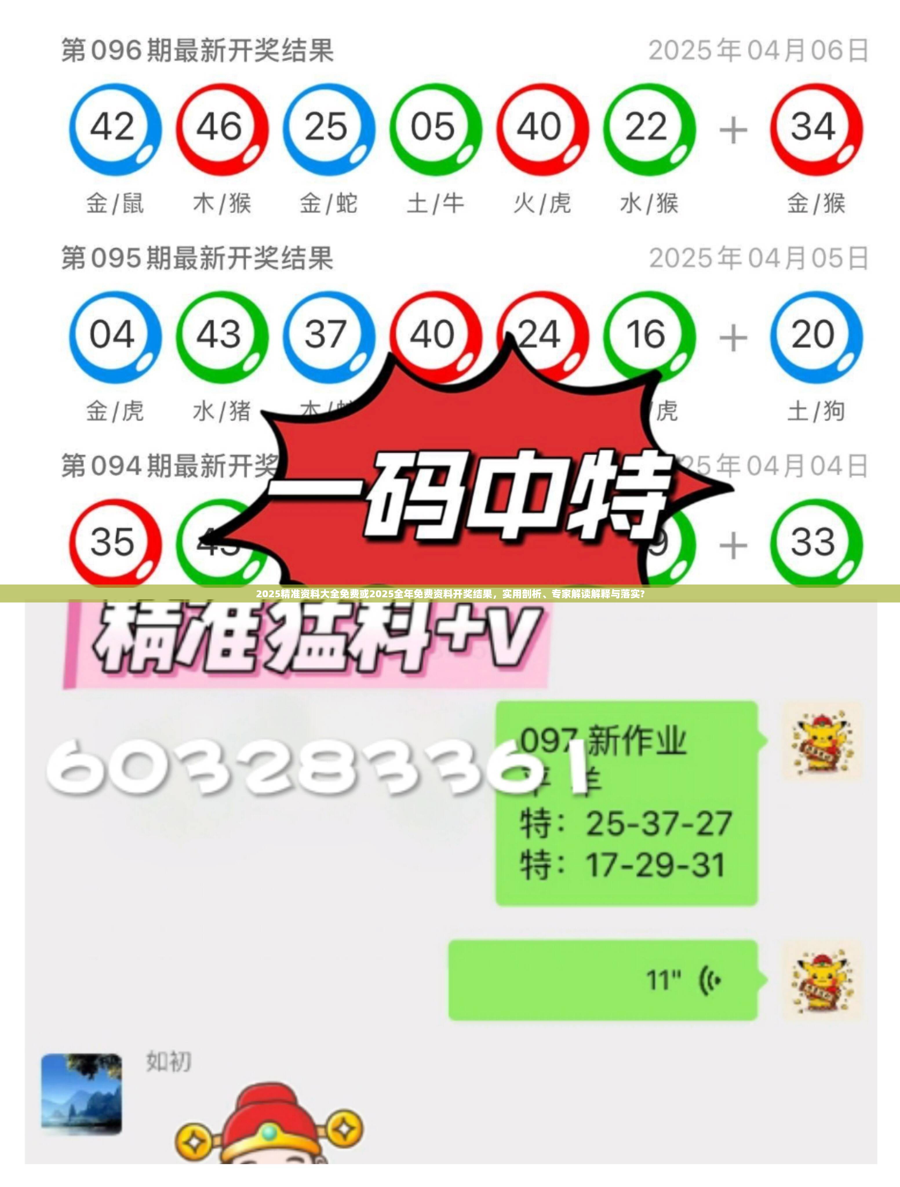 2025精准资料大全免费或2025全年免费资料开奖结果，实用剖析、专家解读解释与落实?