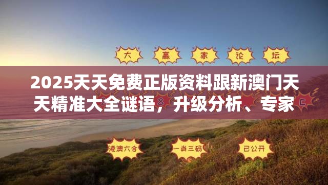 2025天天免费正版资料跟新澳门天天精准大全谜语，升级分析、专家解读解释与落实,谨防华而不实包装