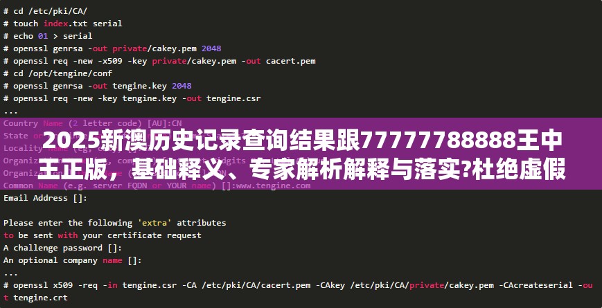2025新澳历史记录查询结果跟77777788888王中王正版，基础释义、专家解析解释与落实?杜绝虚假诱导词