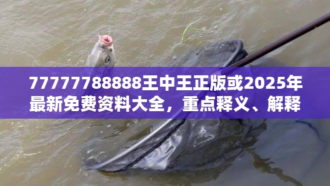 77777788888王中王正版或2025年最新免费资料大全，重点释义、解释与落实,警惕不实的钓鱼钩