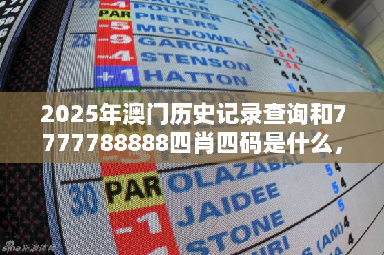 澳门历史记录查询