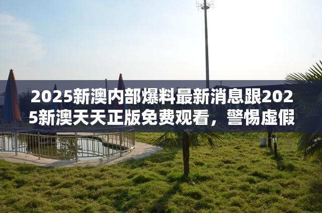 2025新澳内部爆料最新消息跟2025新澳天天正版免费观看，警惕虚假诱导危害-痛点释义、专家解析解释与落实
