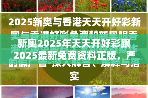 新奥2025年天天开好彩跟2025最新免费资料正版，严防消费陷阱,完整释义、专家解析解释与落实